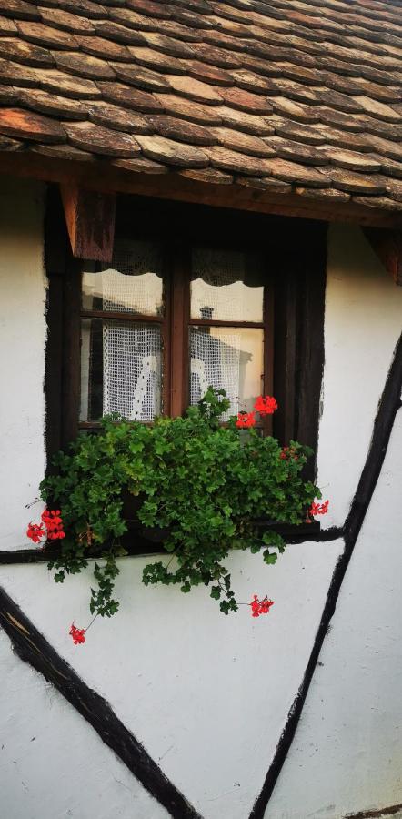 Etno Domacinstvo Miris Bosiljka Apartment Mislodin Exterior photo